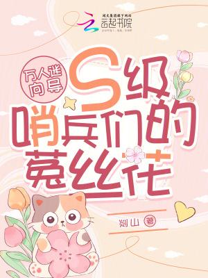 万人迷向导:S级哨兵们的菟丝花